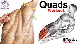 11 Easy Exercises Quadriceps Workout  Leg Day [upl. by Anig644]