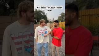 KSI Tries To Catch Indian Bird [upl. by Dust]