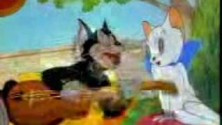 Persian Tom amp Jerry  Traditional Dashti Music [upl. by Nilram862]