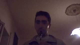 Silent Hill  Tin Whistle [upl. by Eardnaed]