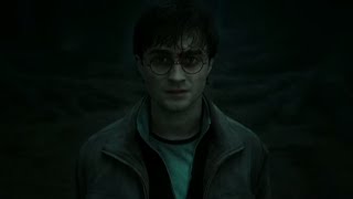 The Boy Who Lived Has Come To Die  Harry Potter and the Deathly Hallows Pt 2 [upl. by Xino]