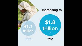 How much do developing countries need for climate action [upl. by Eimak143]