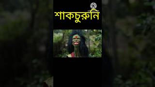 shakchunni shakchunni cartoon shakchunni golpo shakchunni video shakchunni bhoot shakchunni [upl. by Eiraminot656]