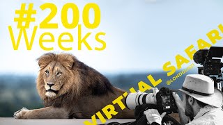 40 Questions with Sean Zeederberg on 200 Weeks of Virtual safari [upl. by Adnuahsar932]