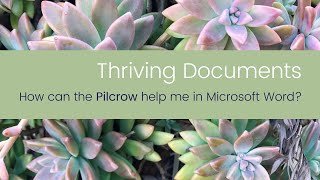 Thriving Documents  How can the Pilcrow help me in Microsoft Word [upl. by Myrle562]