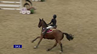 Amy Cappers trip from Scotland worthwhile as claims pony class at HOYS [upl. by Naillik986]