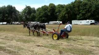 Bobs donkeys mowing at horse progess 2012 [upl. by Sander]