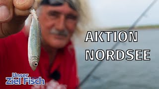 HIER ANGELT KAUM JEMAND MYTHOS NORDSEE  Unser Ziel ist Fisch mit Jörg Ovens [upl. by Ennaerb764]