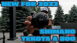 New for 2022  SHIMANO TEKOTA A 800 Trolling Reel [upl. by Ylrehc]