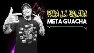 Repiola Damas Gratis Los Pibes Chorros Meta Guacha Enganchado Villero [upl. by Sonni725]