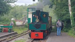 Decauville steam loco Lily at Amberley [upl. by Letney]