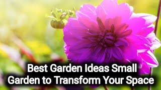 Best Garden Ideas Small Garden to Transform Your Space  Easy amp Affordable Tips No 02 [upl. by Yzeerb]