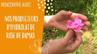 Rencontre au Maroc avec les producteurs de lHydrolat de Rose de Damas BIO [upl. by Haelahk]