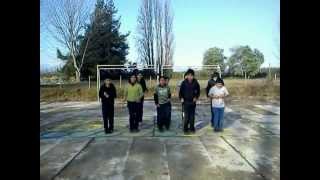 Educacion Fisica Juego De Lateralidad [upl. by Nilreb]