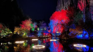 12 Days of Christmas at Butchart Gardens butchartgardens 12daysofchristmas christmaslights [upl. by Nerat135]