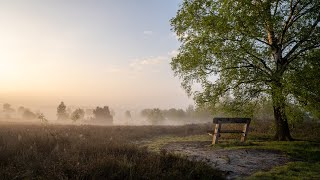 Besser als GMaster Viltrox 24mm Objektiv für Sony im Test [upl. by Jaffe872]