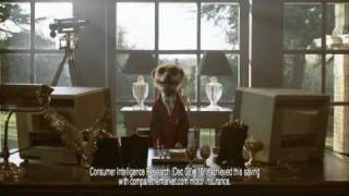 Compare the Meerkat Advert [upl. by Priscella]