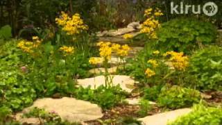 How seeds workDaphne RichardsCentral Texas Gardener [upl. by Smiga]