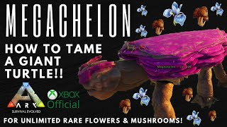 Giant Turtle Megachelon taming Official Server [upl. by Eladnwahs173]