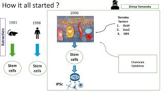 Reprogramming somatic cells to pluripotent cells [upl. by Asher]