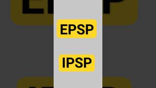 EPSP amp IPSP [upl. by Jarrid]