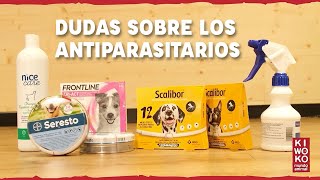 Dudas sobre antiparasitarios 【Perro 🐶 y Gato 😺】 [upl. by Tiat586]