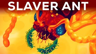 The Horror of the Slaver Ant [upl. by Nylannej]