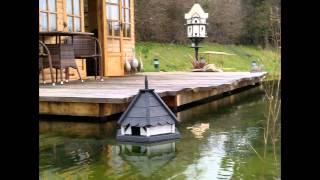 Quality Handcrafted Dovecotes Titcotes Birdtables and more [upl. by Ramberg]