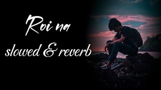 Roi na je yaad Meri Aayi ve  new sad song2024 slowedampreverb [upl. by Wallis]