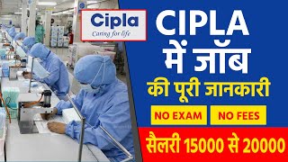 Cipla recruitment 2022  B Pharma Job Baddi Himachal Job  job vacancy 2022 [upl. by Norven]