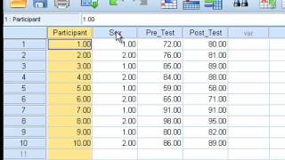 Paired Sample ttest [upl. by Lumbye]