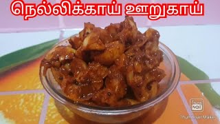 Nellikai Pickle Nellikai Oorugai Recipe in Tamil  Gooseberry Pickle [upl. by Ariat939]