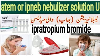 atem nebulizer solution  ipratropium bromide nebulizer how to use salbutamol respiratory soltion [upl. by Lakym]