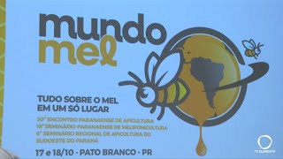 O evento sobre apicultura que será realizado em Pato Branco também abordará questões ambientais [upl. by Cirillo]