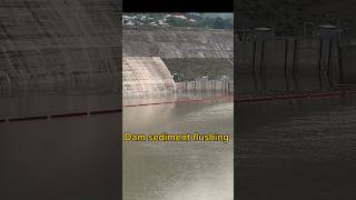 Dam opening amp complete sediment flushing process [upl. by Odille]