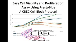 Cell Viability and Proliferation Assay with PrestoBlue [upl. by Arriat]