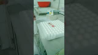 B blood group part2 new short viralvideo😊🤗 [upl. by Enitsirhc]