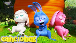 Conejitos dormilones  Rimas y canciones infantiles  LooLoo [upl. by Karalynn]