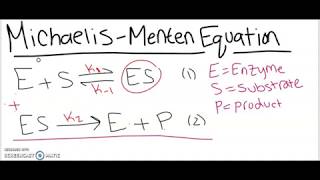 Derivation of the MichaelisMenten Equation StepbyStep [upl. by Amalbergas]