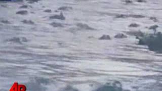 Alligator Feeding Frenzy Caught on Tape [upl. by Cadel524]