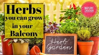 HERBS THAT YOU CAN GROW EASILY IN YOUR BALCONY [upl. by Phelgen]