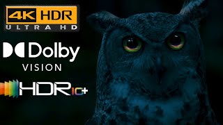 Sound of Light OLED Test Video  4K60fps HDR10  Dolby Vision [upl. by Eirrac897]