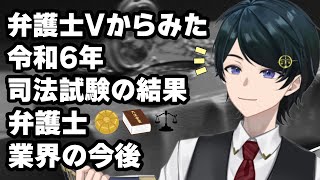 【 司法試験 】弁護士Vからみた令和６年司法試験の結果＆弁護士業界の今後など【 弁護士Vながのりょう 】弁護士 [upl. by Hayotal977]