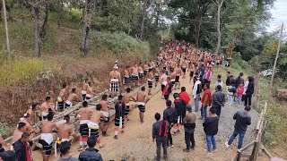 Village life of Stone pulling ceremony Chakhesang Naga [upl. by Sanders849]