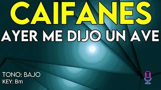 Caifanes  Ayer Me Dijo Un Ave  Karaoke Instrumental  Bajo [upl. by Ahsieker]