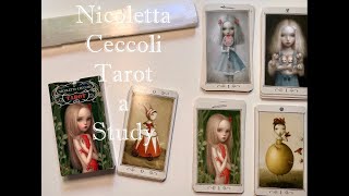 Nicoletta Ceccoli Tarot  a study [upl. by Yelwar]