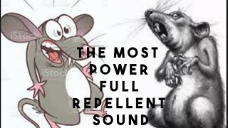 The most powerful rat repellent sound  Mice run away [upl. by Elisabetta]