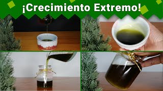 Tu Cabello CRECERÁ Como LOCO Con Este Aceite  Cómo Hacer Crecer el Cabello con ACEITES NATURALES [upl. by Rasmussen]