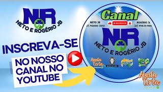 RESULTADO AO VIVO ROGERIO E NETO JB  PPT  12112024 [upl. by Madalyn]