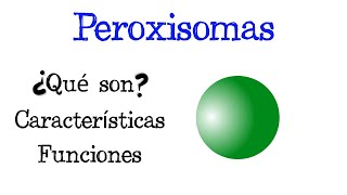 🌐 ¿Qué son los Peroxisomas 💥 Características y Funciones Fácil y Rápido  BIOLOGÍA [upl. by Kind]